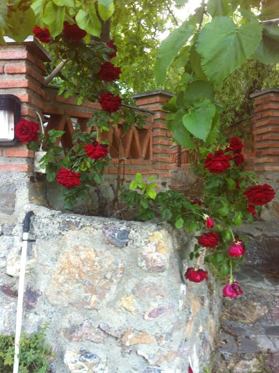 El Balcon De Pitres